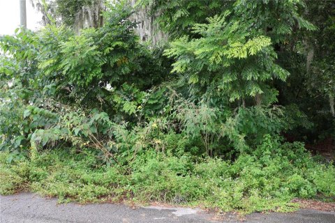 Land in Ocala, Florida № 2214958