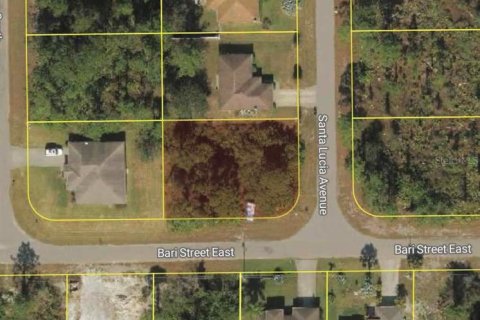 Land in Lehigh Acres, Florida № 2218984 - photo 3