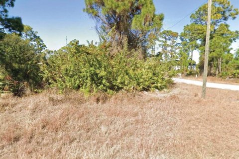 Land in Lehigh Acres, Florida № 2218984 - photo 2