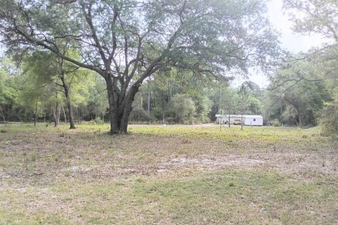 Land in Fort MC Coy, Florida № 2164913 - photo 4