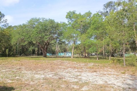 Land in Fort MC Coy, Florida № 2164913