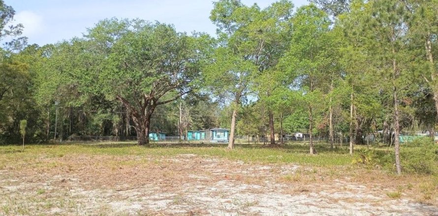 Land in Fort MC Coy, Florida № 2164913