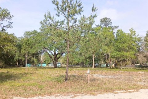 Land in Fort MC Coy, Florida № 2164913 - photo 3