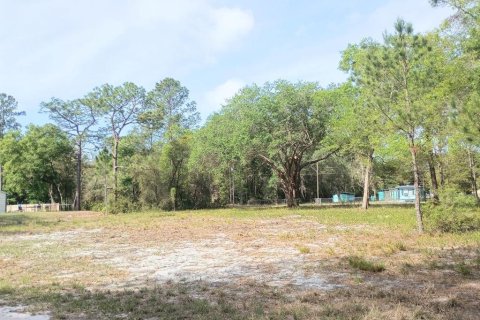 Land in Fort MC Coy, Florida № 2164913 - photo 2