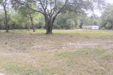 Land in Fort MC Coy, Florida № 2164913 - photo 5