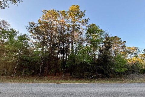 Terreno en venta en Dunnellon, Florida № 1572224 - foto 3