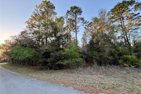 Terreno en venta en Dunnellon, Florida № 1572224 - foto 2