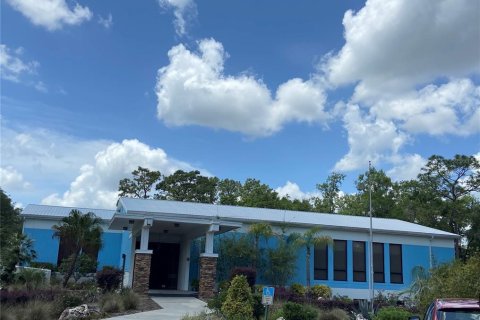 Terreno en venta en Dunnellon, Florida № 1572224 - foto 9