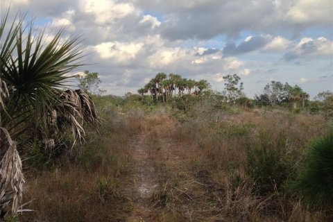 Land in Punta Gorda, Florida № 1670201 - photo 19