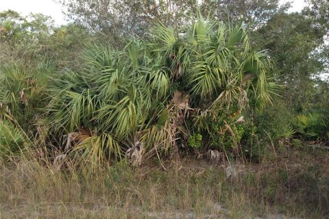 Land in Punta Gorda, Florida № 1670201 - photo 23