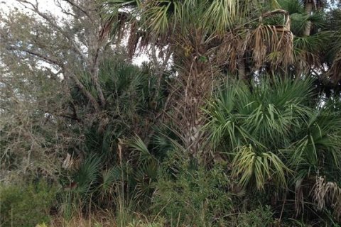 Land in Punta Gorda, Florida № 1670201 - photo 11