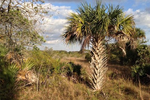 Land in Punta Gorda, Florida № 1670201 - photo 14