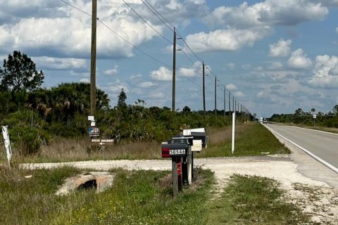 Land in Punta Gorda, Florida № 1670201 - photo 3