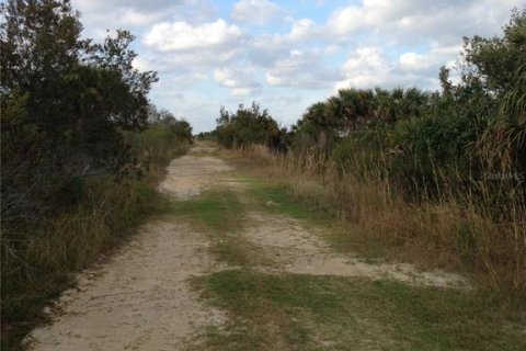 Land in Punta Gorda, Florida № 1670201 - photo 10