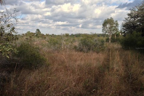 Land in Punta Gorda, Florida № 1670201 - photo 17