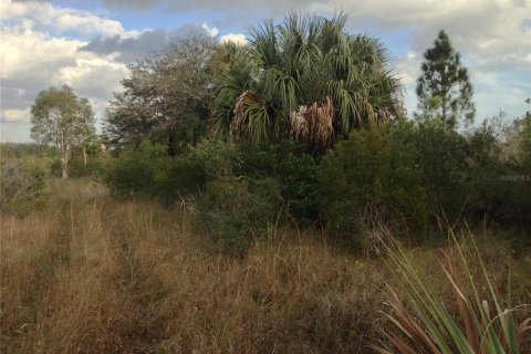 Land in Punta Gorda, Florida № 1670201 - photo 18