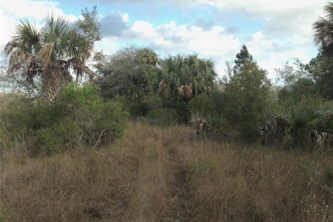 Land in Punta Gorda, Florida № 1670201 - photo 12