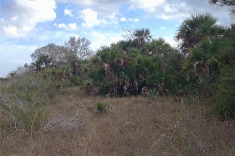 Land in Punta Gorda, Florida № 1670201 - photo 20
