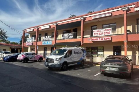 Снять в аренду коммерческую недвижимость в Тампа, Флорида № 1800040 - фото 2
