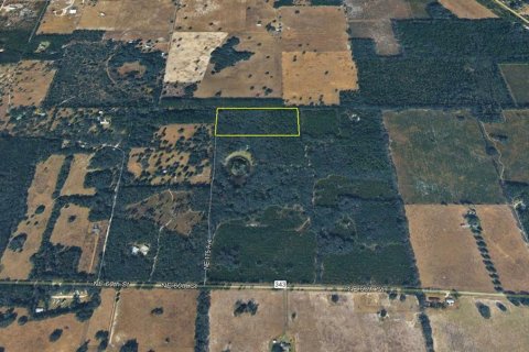Land in Williston, Florida № 2116954