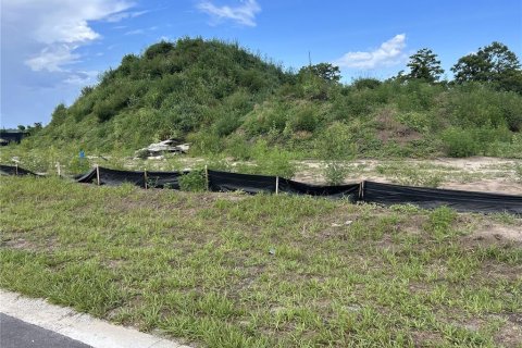 Land in Astatula, Florida № 1759483 - photo 2
