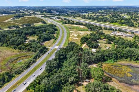 Land in Clermont, Florida № 2391336 - photo 4