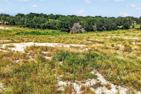 Land in Clermont, Florida № 2391336 - photo 15