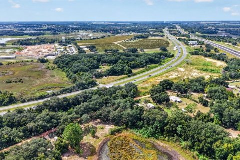Land in Clermont, Florida № 2391336 - photo 5