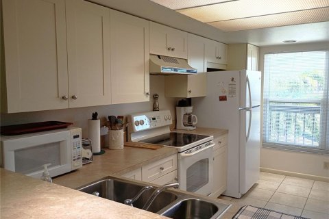 Copropriété à louer à Tarpon Springs, Floride: 2 chambres, 106.84 m2 № 2166352 - photo 9