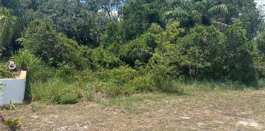 Land in Babson Park, Florida № 2163843