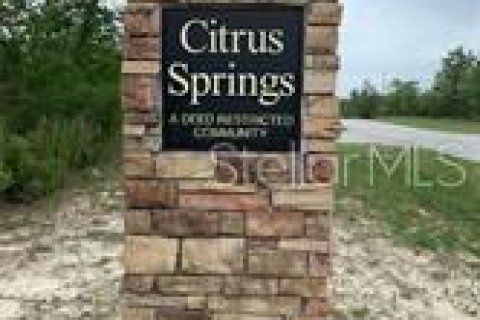 House in Citrus Springs, Florida 4 bedrooms, 215.53 sq.m. № 1678258 - photo 6