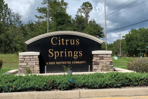 House in Citrus Springs, Florida 4 bedrooms, 215.53 sq.m. № 1678258 - photo 5