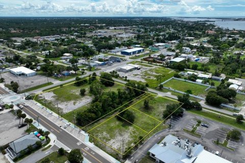 Land in Englewood, Florida № 2390838 - photo 3