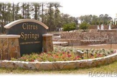 House in Citrus Springs, Florida 4 bedrooms, 216.46 sq.m. № 1508921 - photo 6