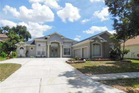 House in Valrico, Florida 4 bedrooms, 272.67 sq.m. № 2367080