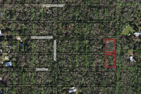 Terrain à vendre à Homosassa, Floride № 2162480 - photo 5