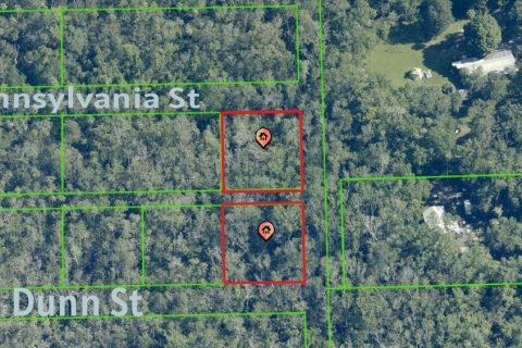 Terrain à Homosassa, Floride № 2162480