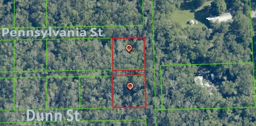 Terrain à Homosassa, Floride № 2162480