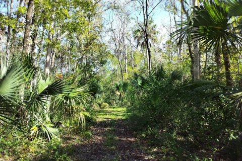 Terrain à vendre à Homosassa, Floride № 2162480 - photo 2