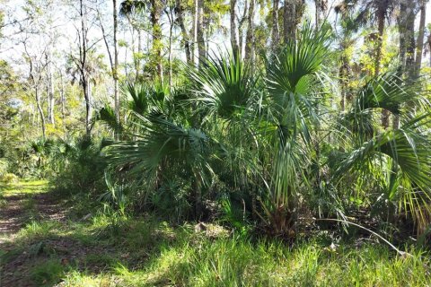 Terrain à vendre à Homosassa, Floride № 2162480 - photo 3