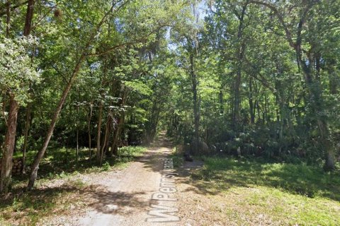 Terrain à vendre à Homosassa, Floride № 2162480 - photo 4