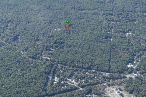 Terrain à vendre à Homosassa, Floride № 2162480 - photo 6