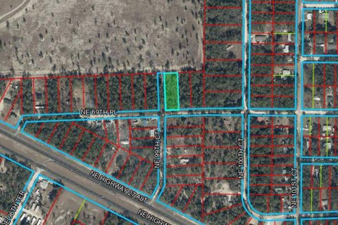 Land in Bronson, Florida № 2158676 - photo 2