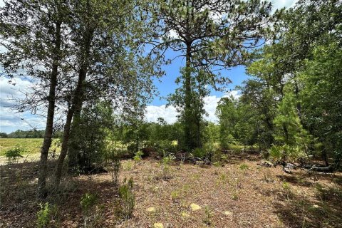 Land in Bronson, Florida № 2158676