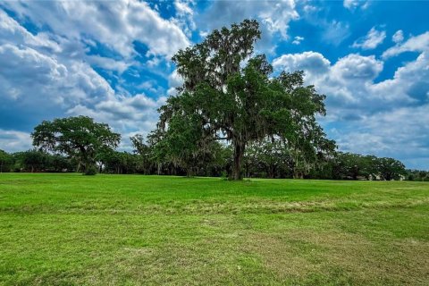Terreno en venta en Ocala, Florida № 2093537 - foto 2