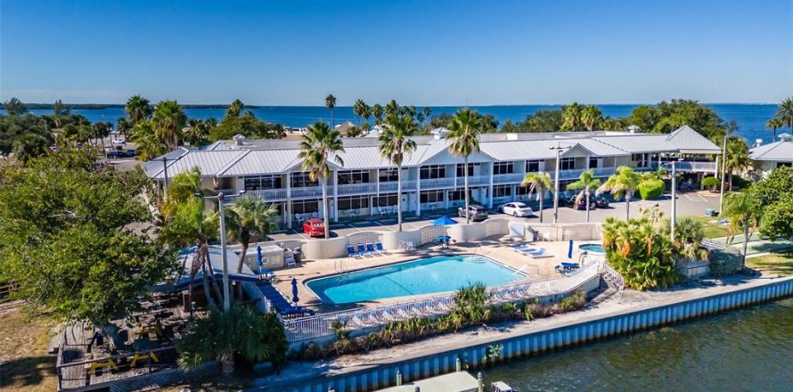 Condo à Ruskin, Floride, 1 chambre № 2111289