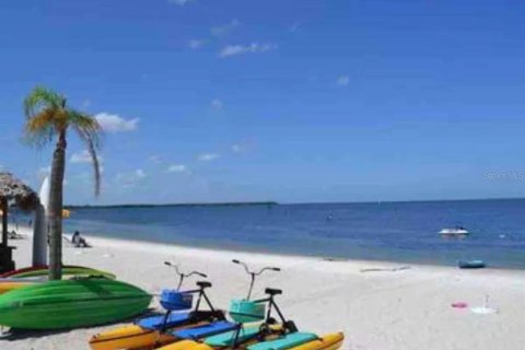 Copropriété à vendre à Ruskin, Floride: 1 chambre, 29.91 m2 № 2111289 - photo 18