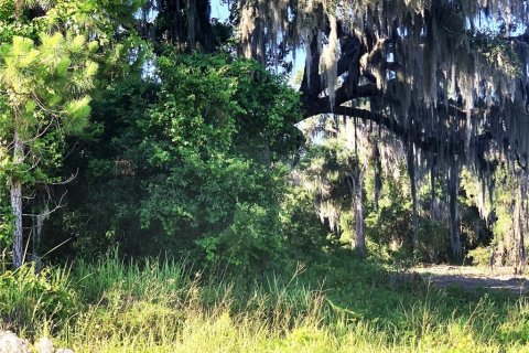 Terrain à vendre à Okahumpka, Floride № 2219182 - photo 4