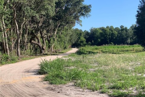 Terrain à vendre à Okahumpka, Floride № 2219182 - photo 6