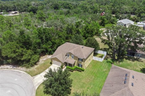 House in Eustis, Florida 4 bedrooms, 257.53 sq.m. № 1834887 - photo 25